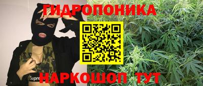 PSILOCYBIN Владивосток