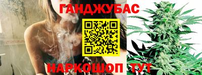 PSILOCYBIN Владивосток